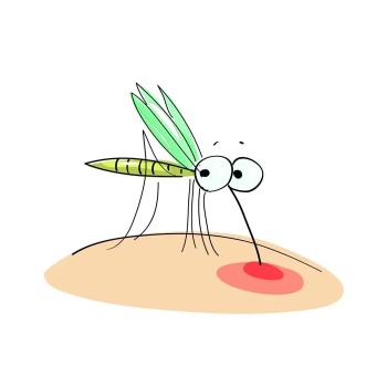 广东实验室驱蚊效果试验室内杀虫剂喷雾