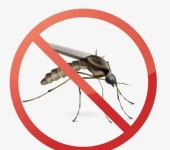 检测单位驱避剂药效评定驱蚊效果试验