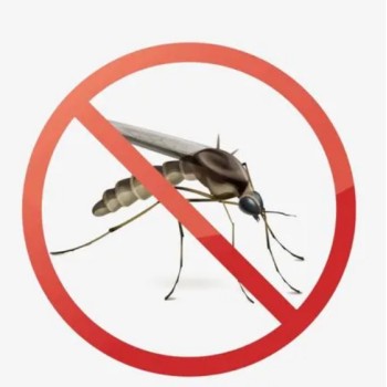 驱蚊产品测试驱蚊效果试验测试试验