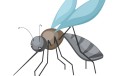 药效检测驱蚊效果测试驱蚊液检测