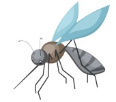 药效检测驱避剂药效评定驱蚊效果试验