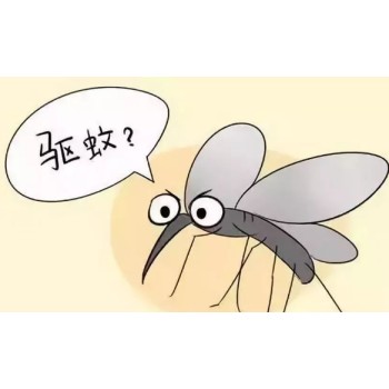 驱蚊效果测试药效评定杀虫剂室内药效试验