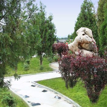 沈陽永樂青山墓地怎么走