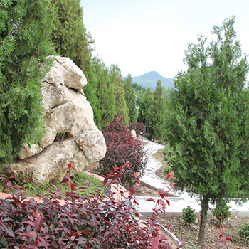 沈陽永樂青山墓園怎么樣