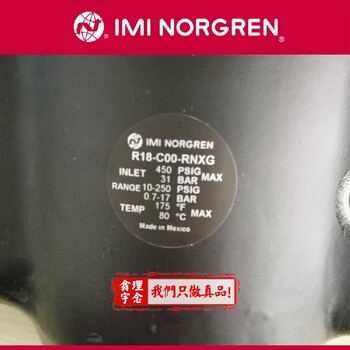 進(jìn)口氣瓶減壓閥R18-C05-NGLA