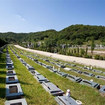 渾南大河貝墓園電話