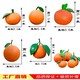 曲陽玻璃鋼桔子雕塑圖