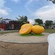 玻璃鋼桔子雕塑定制圖