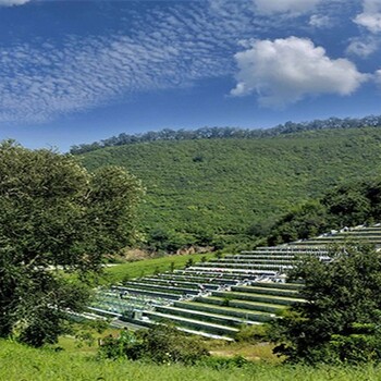 附近玉灵山公墓地址