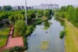 重庆巴南底泥改良剂生态修复技术材料水质治理工程