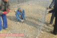新疆PVC覆塑铅丝石笼厂家批发价格