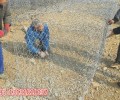 新疆30公分铅丝石笼厂家哪里有？