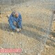 陜西鉛絲石籠網(wǎng)圖