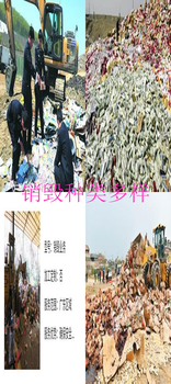 佛山日用品銷毀-銷毀范圍廣泛上門服務(wù)