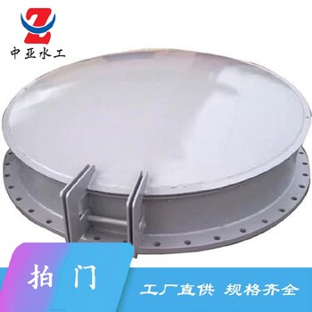 懷化側(cè)翻式拍門