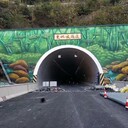 黃南做水泥塑石假山本地廠家制作
