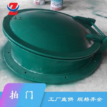 濟寧輕盈輕質(zhì)拍門