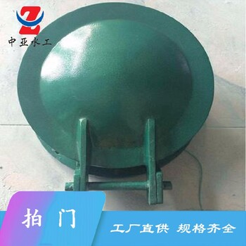 隨州浮鑲式拍門