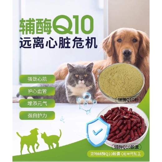 长沙小海猫狗用Q10辅酶代加工定制生产服务