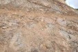 西藏土壤粘合剂矿山修复山体喷播绿化材料批发销售