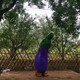 公園玻璃鋼茄子雕塑圖