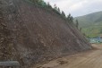 广东土壤粘合剂生态修复技术材料边坡防止滑坡