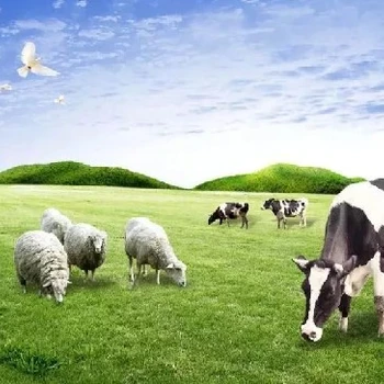 十堰綠色GLOBALG.A.P認證注冊