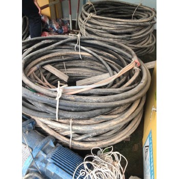 白云废电线电缆回收商家
