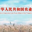 無抗飼料認(rèn)證無抗雞蛋咨詢