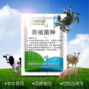 漳平市发酵豆渣喂牛用养殖菌种
