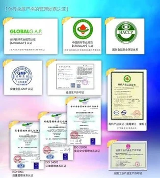 玉林服務(wù)GLOBALG.A.P認(rèn)證gap認(rèn)證