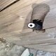 安順電源線回收圖