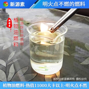 遼寧遼陽遼陽縣第六代植物油燃料標準型號