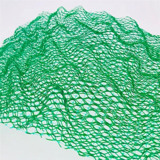 惠州三维植被网厂家多少钱一平,塑料三维网