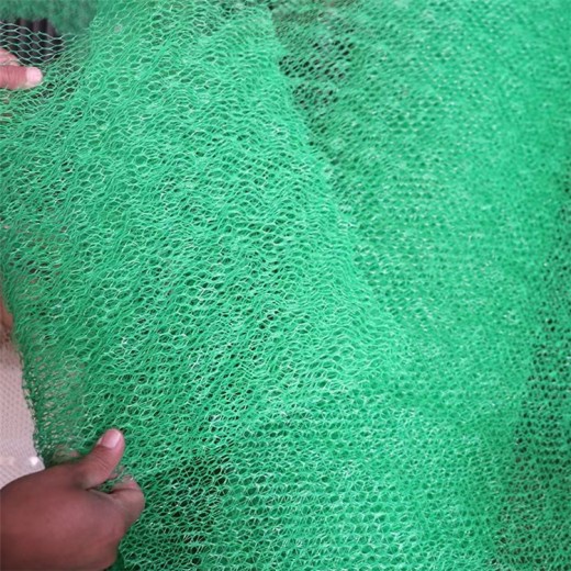 周口三维植被网厂家多少钱一平,罩面网