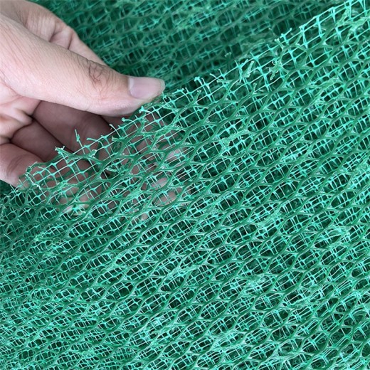 汕头三维植被网厂家多少钱一平,三维土工网垫