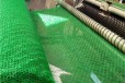 广州三维植被网图片,三维固土网垫