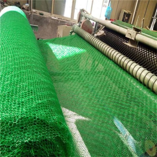 鄂州三维植被网厂家批发,三维土工网垫
