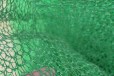 鄂州三维植被网图片,三维土工网垫