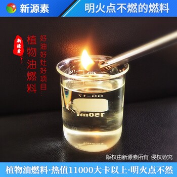 江西南昌東湖第六代植物油燃料結構穩定性