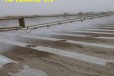 新疆东城街道荒漠植草种树固沙剂农田护苗防沙批发销售