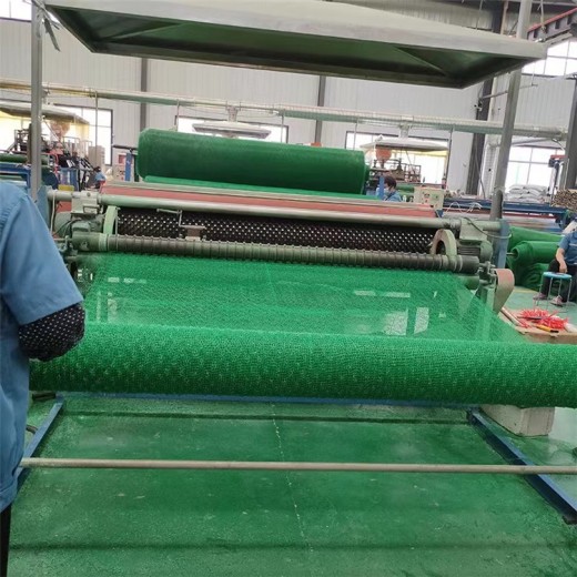 桂林三维植被网厂家批发,山坡复绿土工网