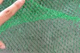 鹤壁三维植被网厂家多少钱一平,绿化土工网垫