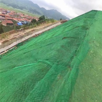 珠海三维植被网厂家报价,山坡复绿土工网