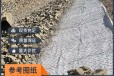 江西上饶鄱阳县生态修复石笼网价格