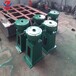 朝陽(yáng)手電兩用螺桿式啟閉機(jī)