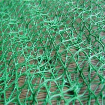 仙桃三维植被网厂家批发,塑料三维网