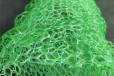 深圳三维植被网厂家多少钱一平,三维固土网垫