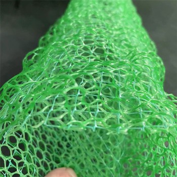 珠海三维植被网厂家报价,山坡复绿土工网