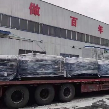 保定望都發(fā)電機出租（高低壓）均可